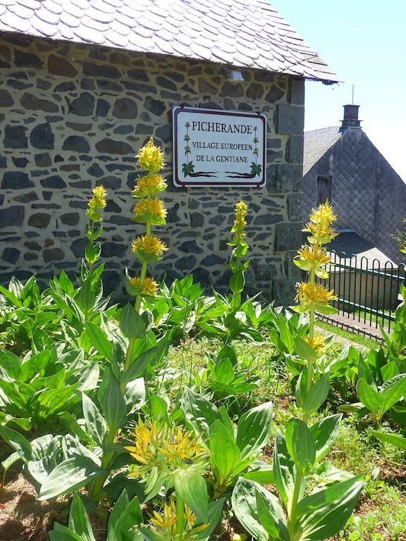 Aux Balcons Du Sancy Aparthotel Picherande Luaran gambar